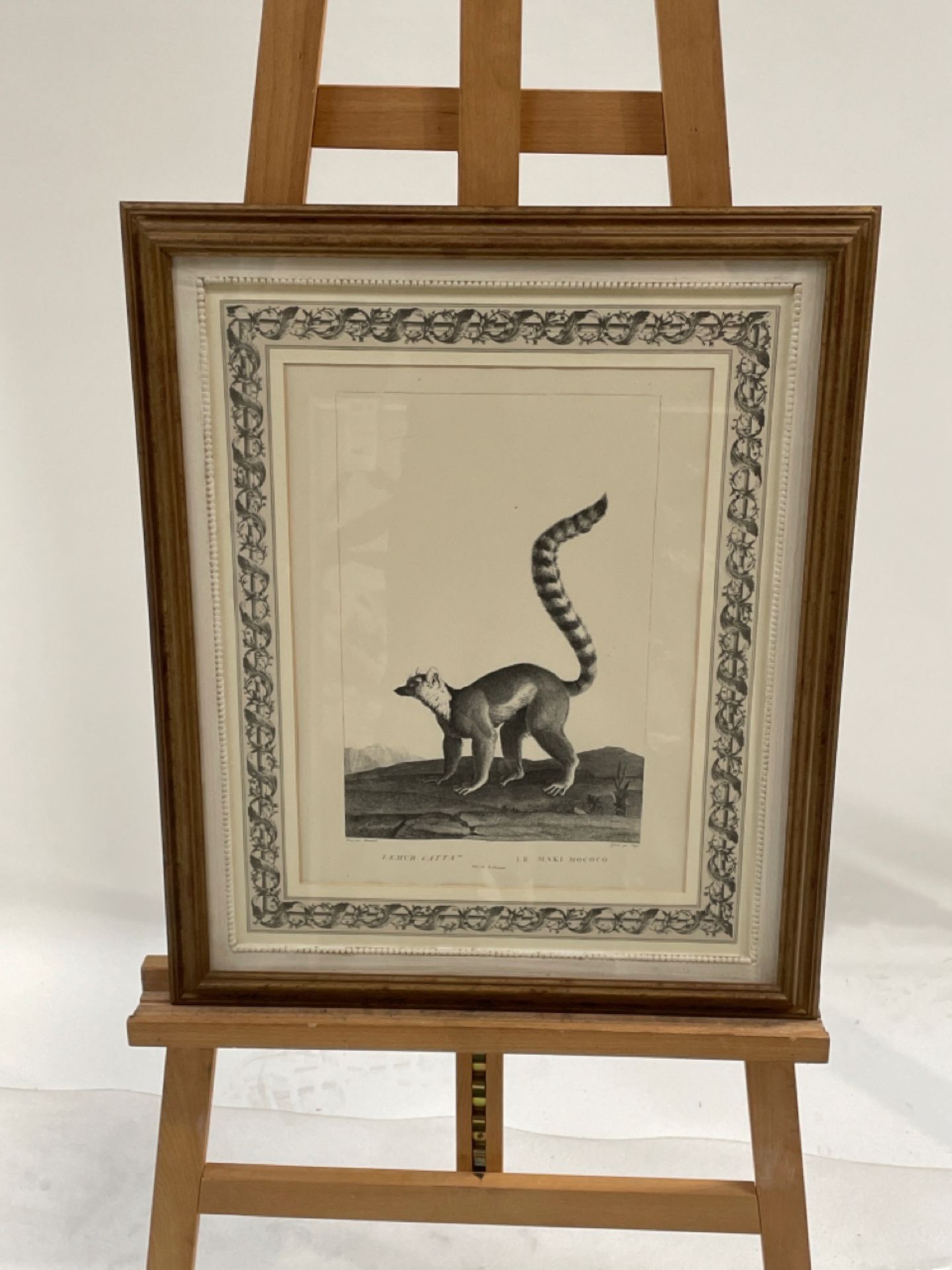 Lemur Artwork Print