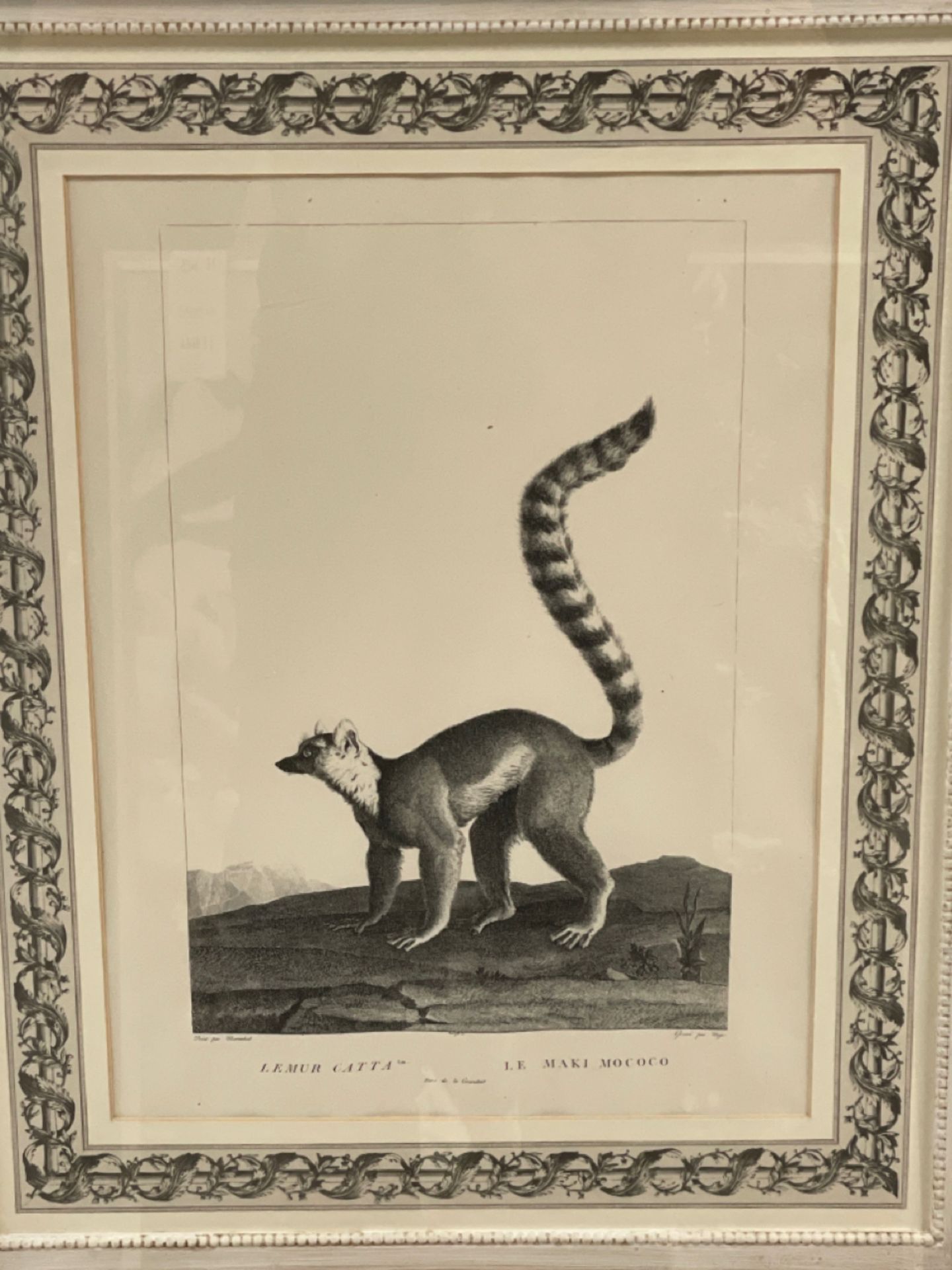 Lemur Artwork Print - Image 2 of 2