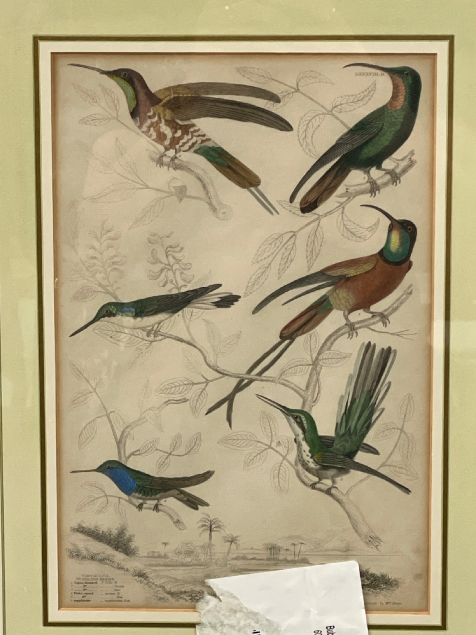 Birds Artwork Prints - Image 2 of 2