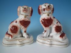 Pair Victorian Staffordshire Pottery spaniels on gilt decorated bases