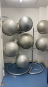 2 x Reebok Excercise Ball Stands & 9 Balls