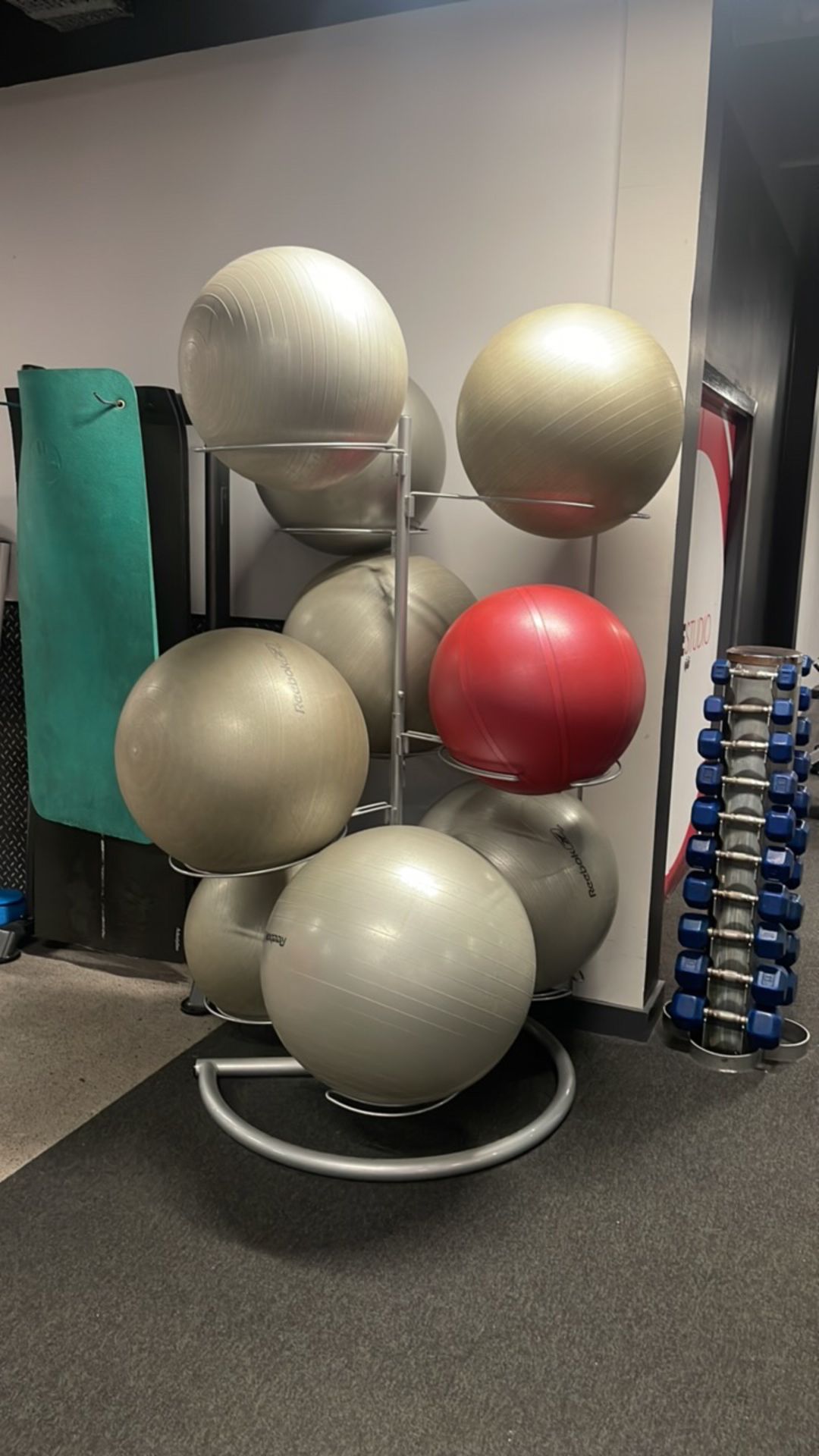 Reebok Excercise Balls & Stand