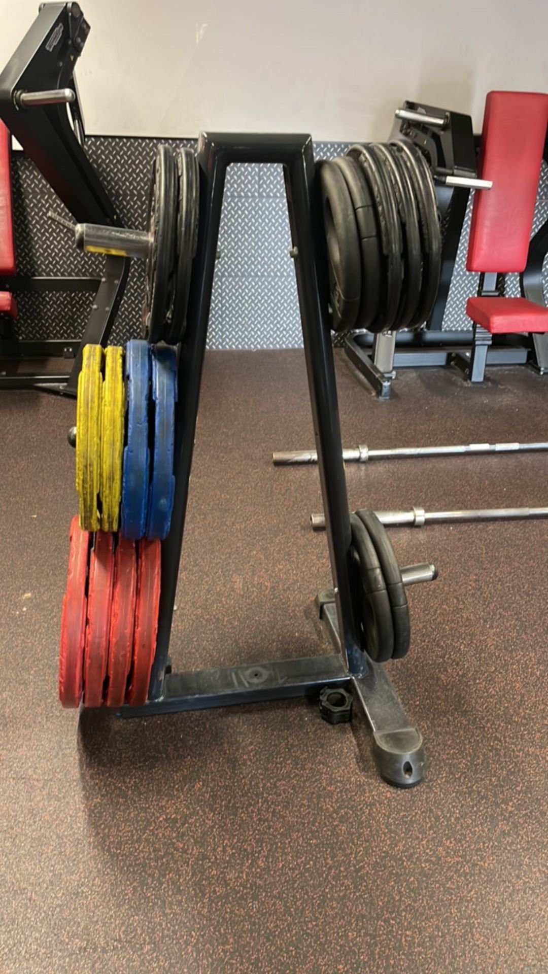 Plate Tree including Weight Plates: