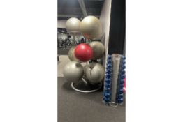 Exercise Balls and Stand
