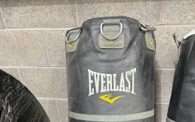 Everlast Medium Punch Bag