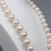 Weighty Freshwater Cultured Pearl-Strung Necklace With White Gold Sprung Clasp