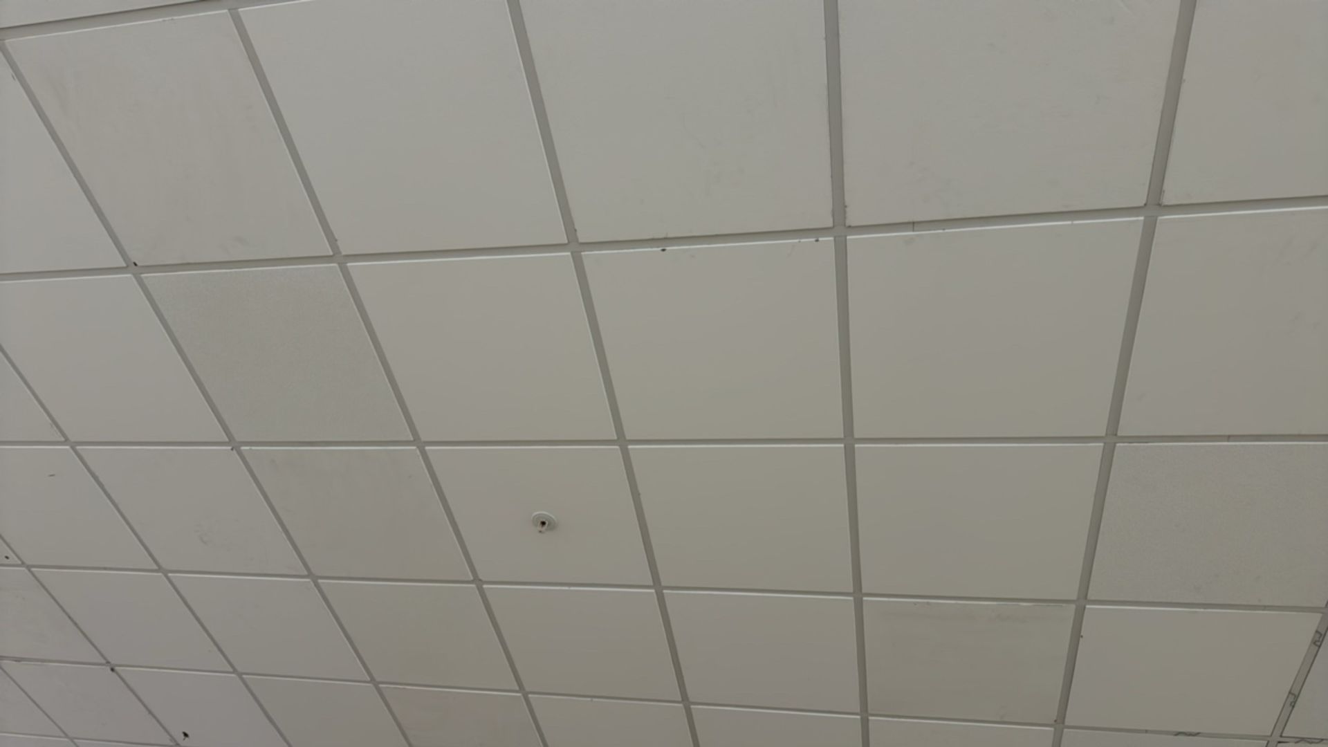 Quantity Of Ceiling Tiles - Image 3 of 3