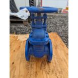 HUK DN100 GG25 PN16 NRS Type Gate Valve