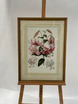 Flower Artwork Print