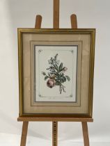 Floral Artwork Print