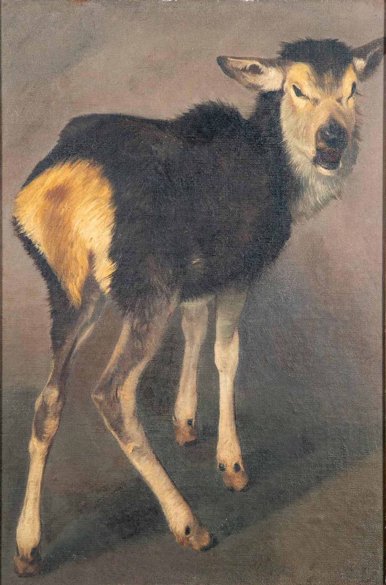 "Junges Elchkalb" - Gemälde, Öl auf Hartfaserplatte, ca. 74 x 50 cm, unsigniert, dem Braunschweige - Image 2 of 10