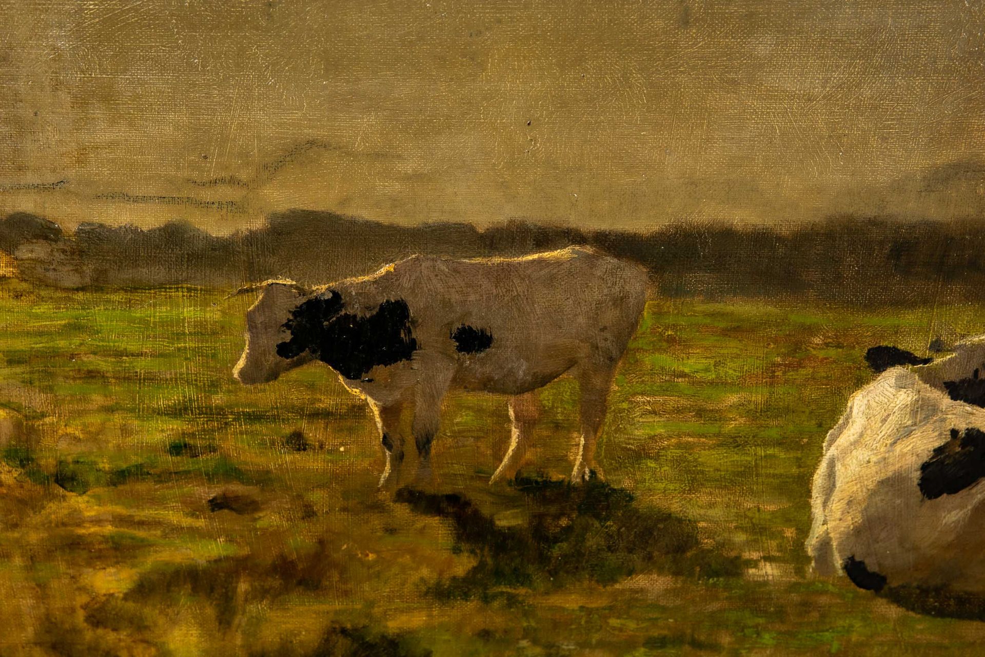 "Kühe auf der Weide", Gemälde Öl auf Malpappe/ Malkarton, ca. 34 x 51 cm, unsignierte stimmungsvoll - Image 4 of 7
