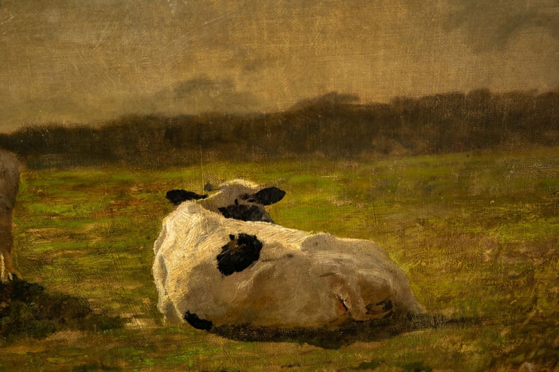 "Kühe auf der Weide", Gemälde Öl auf Malpappe/ Malkarton, ca. 34 x 51 cm, unsignierte stimmungsvoll - Image 6 of 7