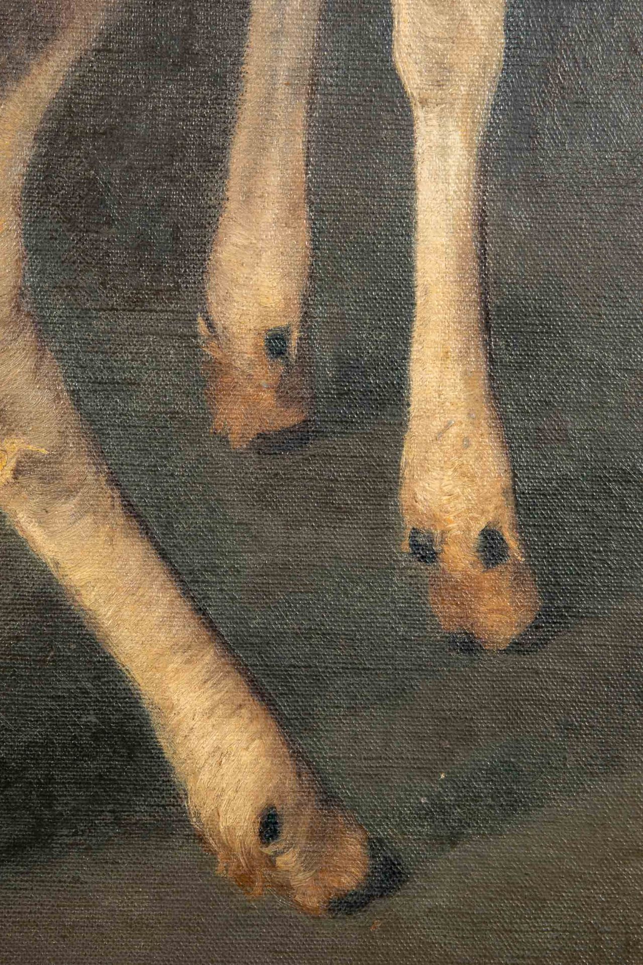 "Junges Elchkalb" - Gemälde, Öl auf Hartfaserplatte, ca. 74 x 50 cm, unsigniert, dem Braunschweige - Image 5 of 10