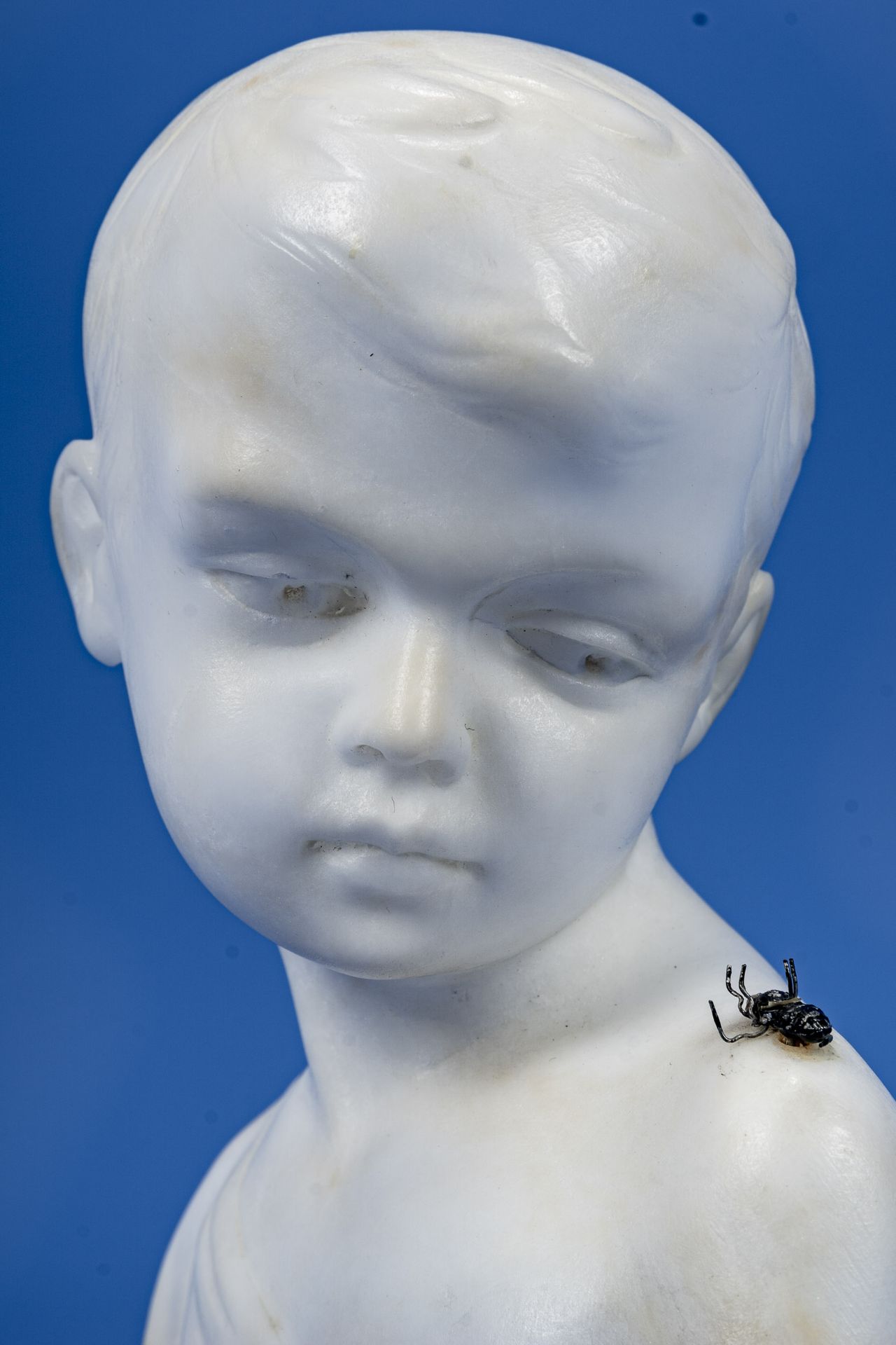 "Die Fliege" - Knabenkopf mit Fliege auf der linken Schulter, Alabaster, rückseitig signiert: "Schm - Bild 9 aus 12