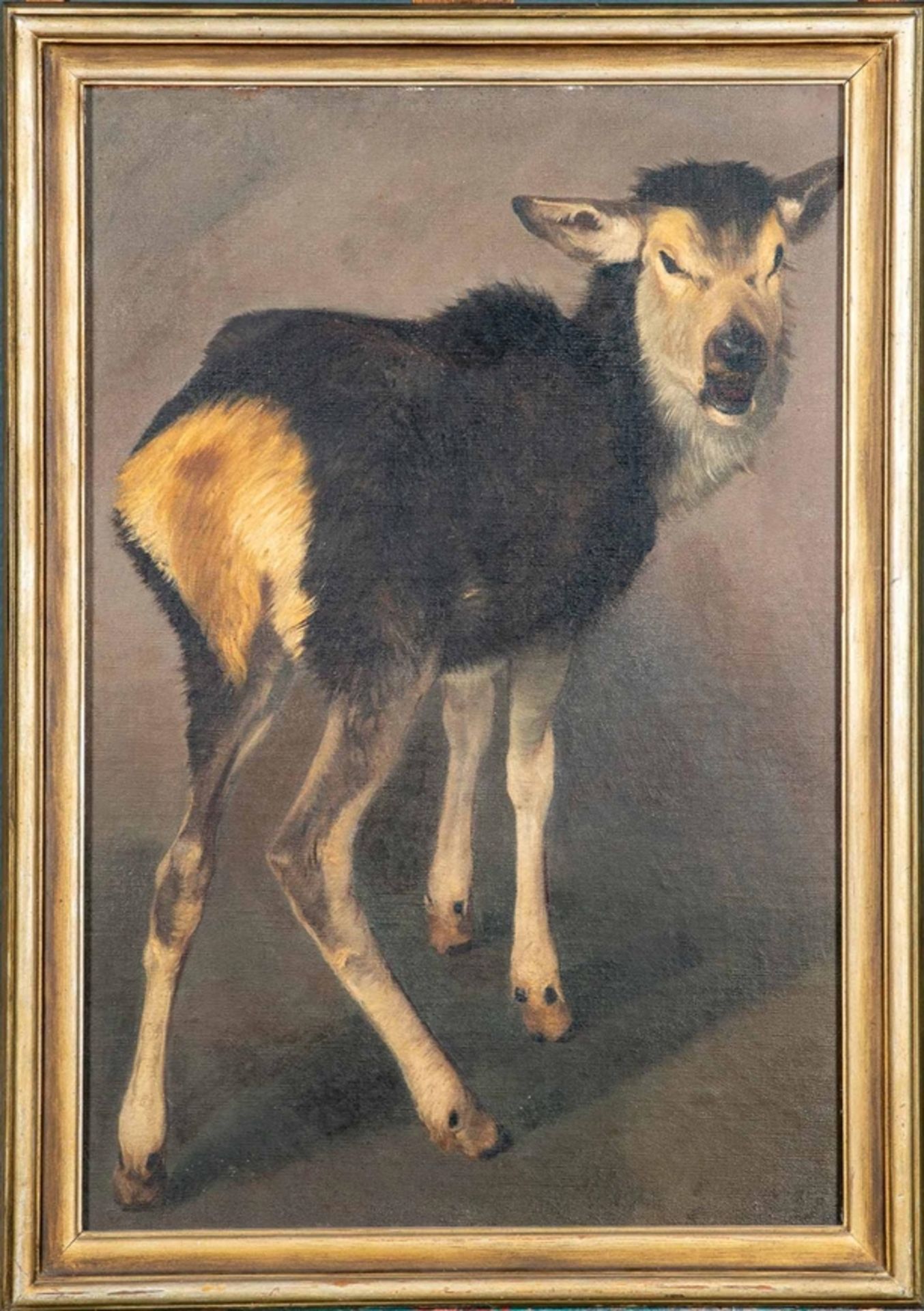 "Junges Elchkalb" - Gemälde, Öl auf Hartfaserplatte, ca. 74 x 50 cm, unsigniert, dem Braunschweige