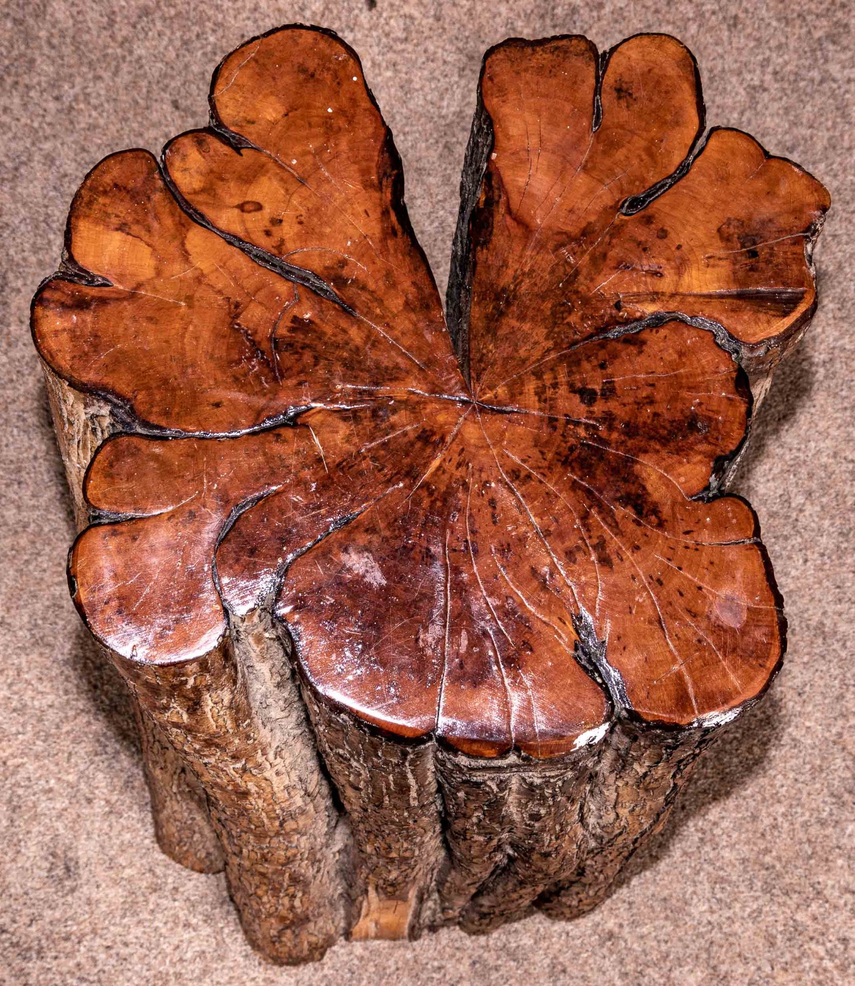"Redwood"-Stammstück, die obere Schnittfläche geschliffen und lackiert, als Abstellfläche für z. B. - Bild 6 aus 6