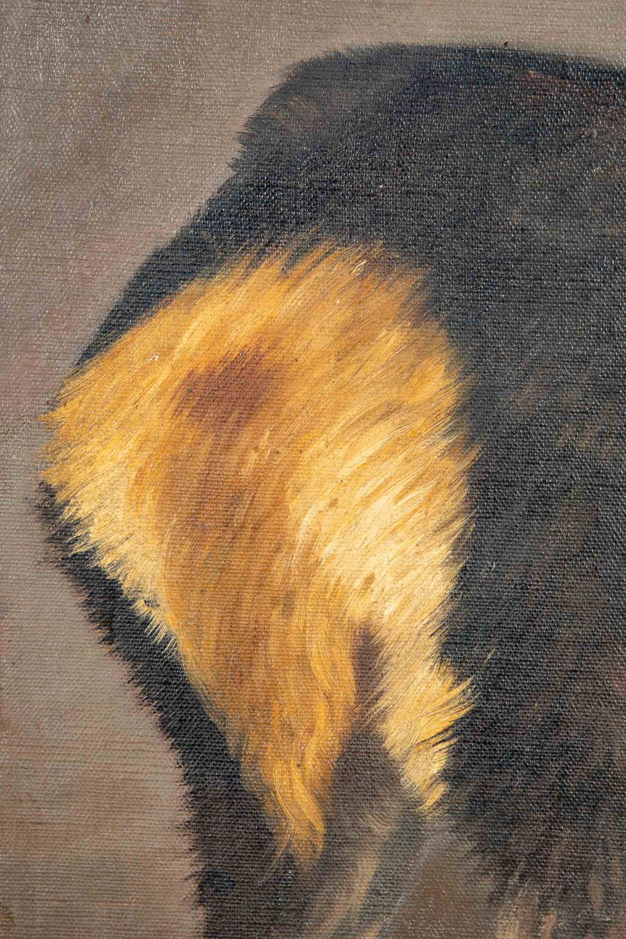 "Junges Elchkalb" - Gemälde, Öl auf Hartfaserplatte, ca. 74 x 50 cm, unsigniert, dem Braunschweige - Image 4 of 10