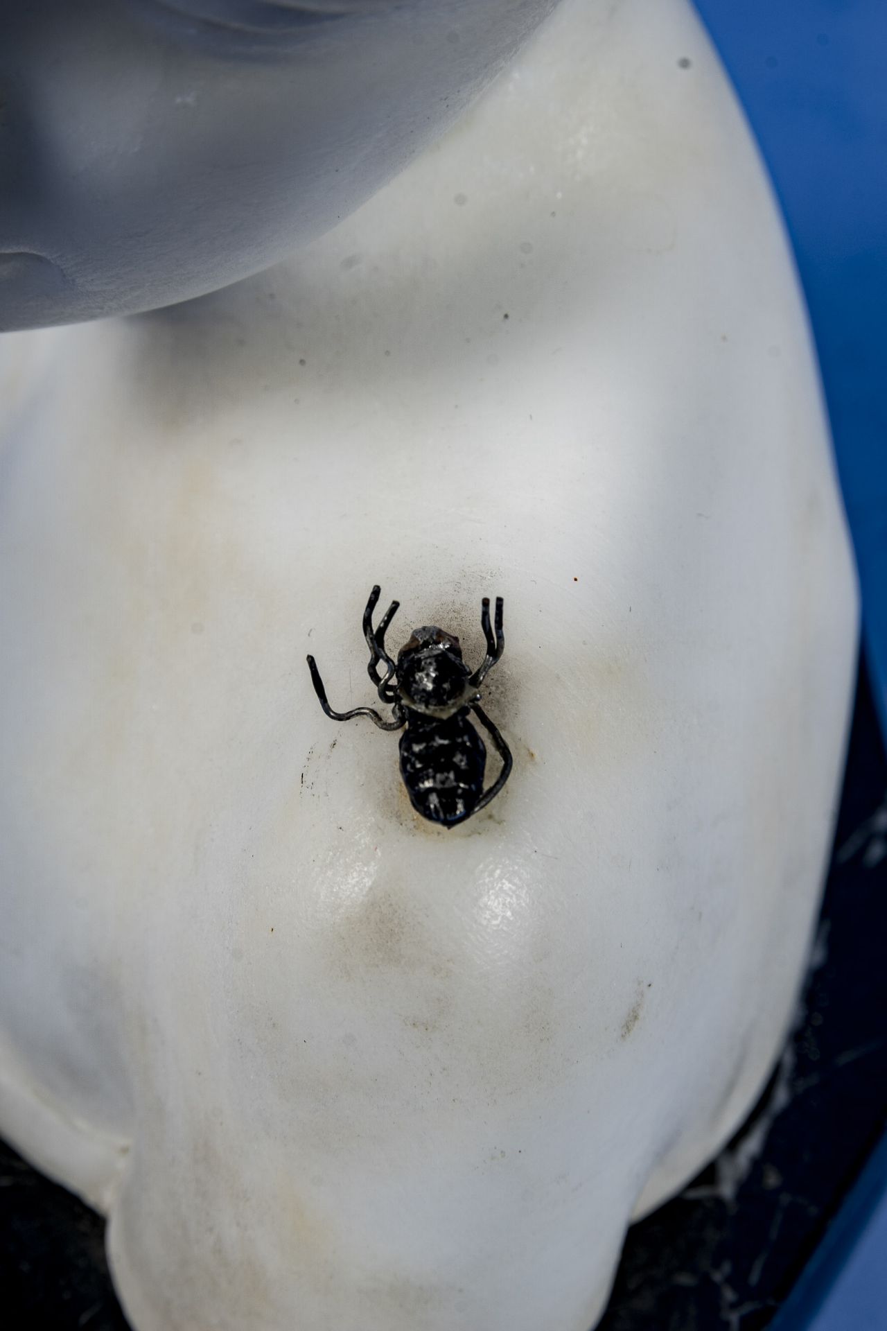 "Die Fliege" - Knabenkopf mit Fliege auf der linken Schulter, Alabaster, rückseitig signiert: "Schm - Image 11 of 12