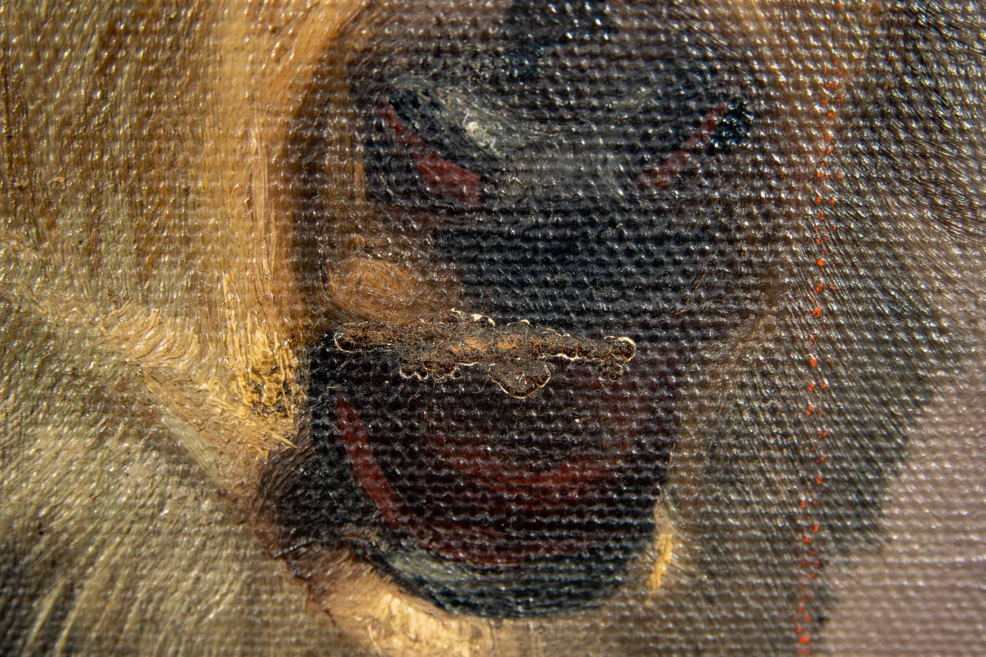 "Junges Elchkalb" -  Gemälde, Öl auf Hartfaserplatte, ca. 74 x 50 cm, unsigniert, dem Braunschweige - Bild 10 aus 10