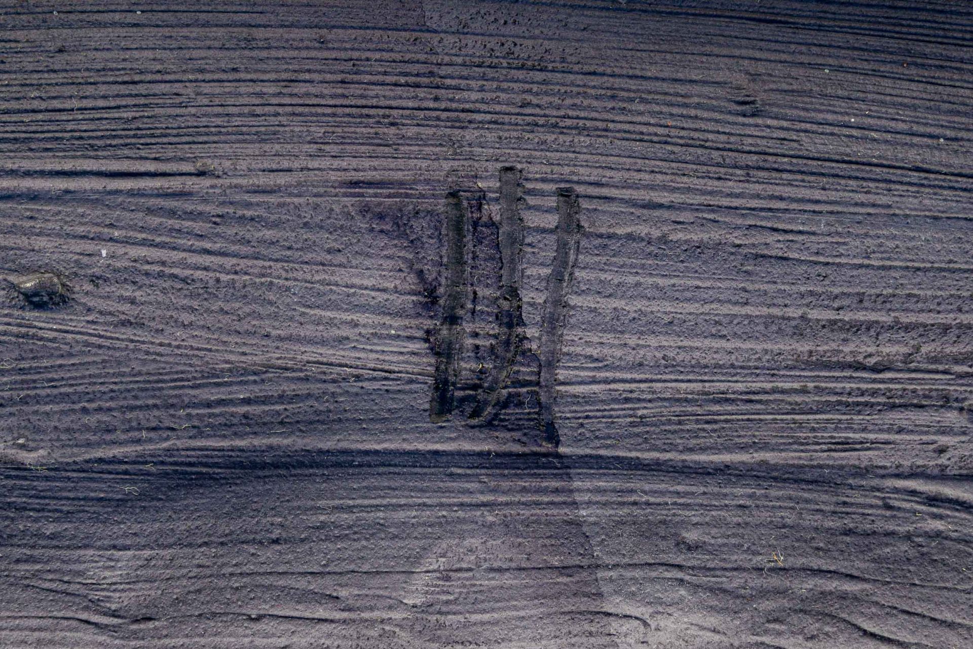 "Schreitender Löwe", dunkel staffierter schreitender Löwe, Gipsguss; auf der Plinthe undeutlich sig - Image 12 of 12