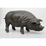 "Schnüffelnder Eber", bräunlich patiniertes Hausschwein, Messing oder Bronze, Länge ca. 45 cm, unge
