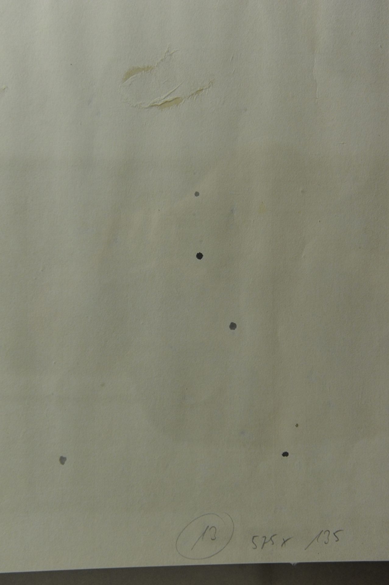"Pflanzen", Abbild ca. 122,5 x 45,5 cm. Außenmaß ca. 140 x 62 cm. Dekoratives Wandbild, China, 20. - Image 6 of 6
