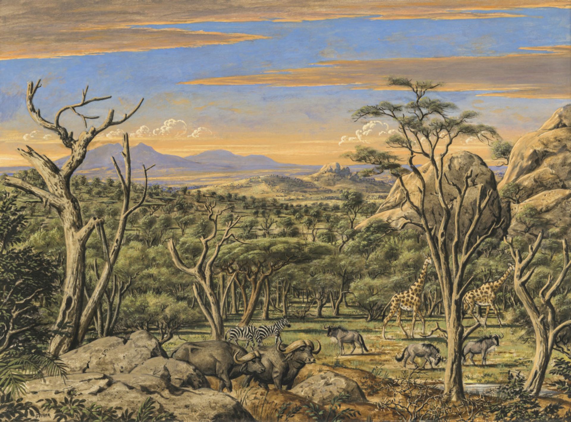 Werner Peiner  - Afrikanische Landschaft mit Zebras und Giraffen    - Bild 2 aus 4