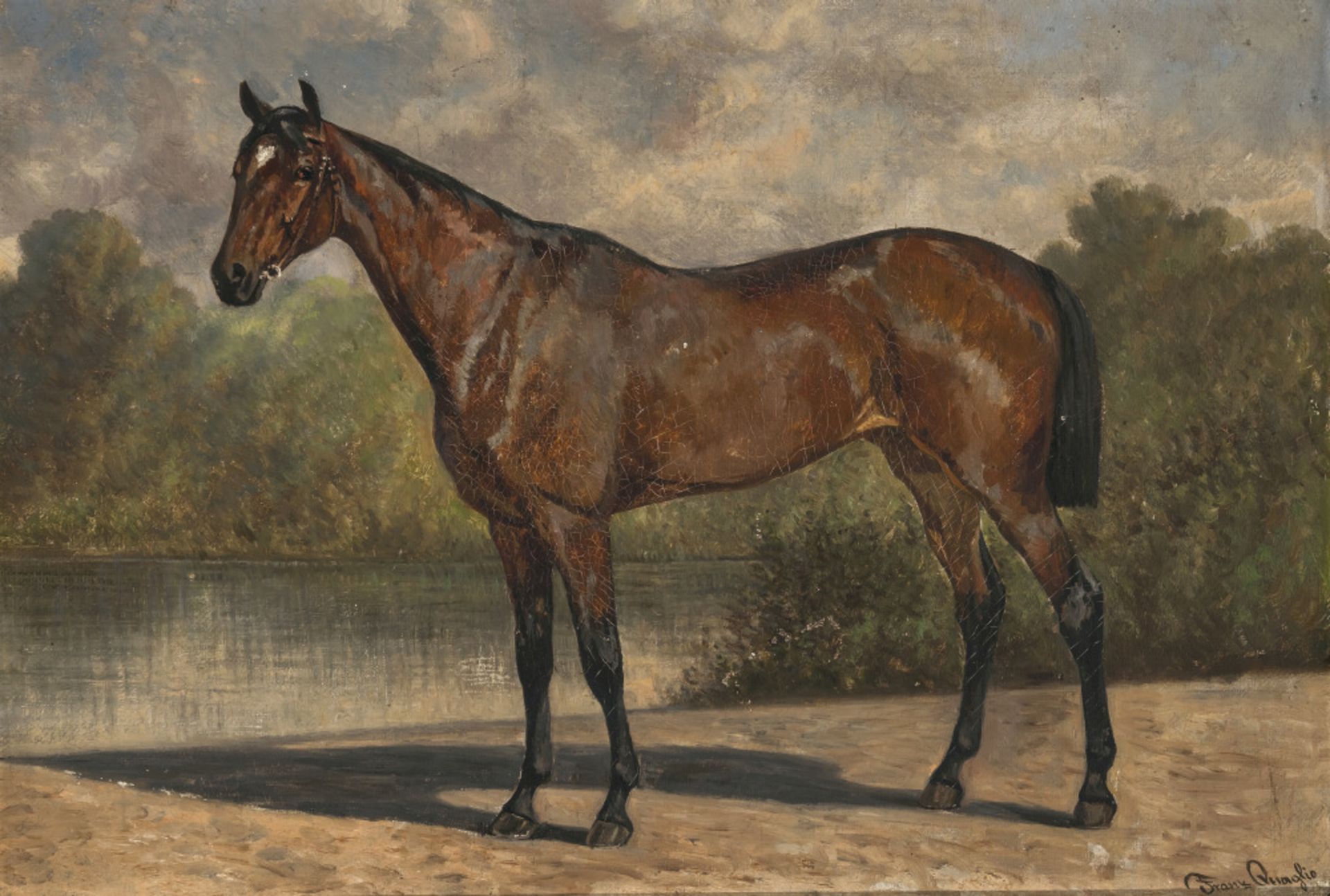 Standing horse