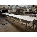 36" X 24' Conveyor Section