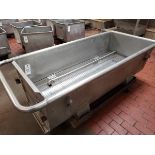 Stainless Steel Sanitation Trough