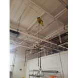 Wright-Way Electric Hoist, 1/2 Ton