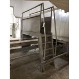 Stainless Steel Walk-Over