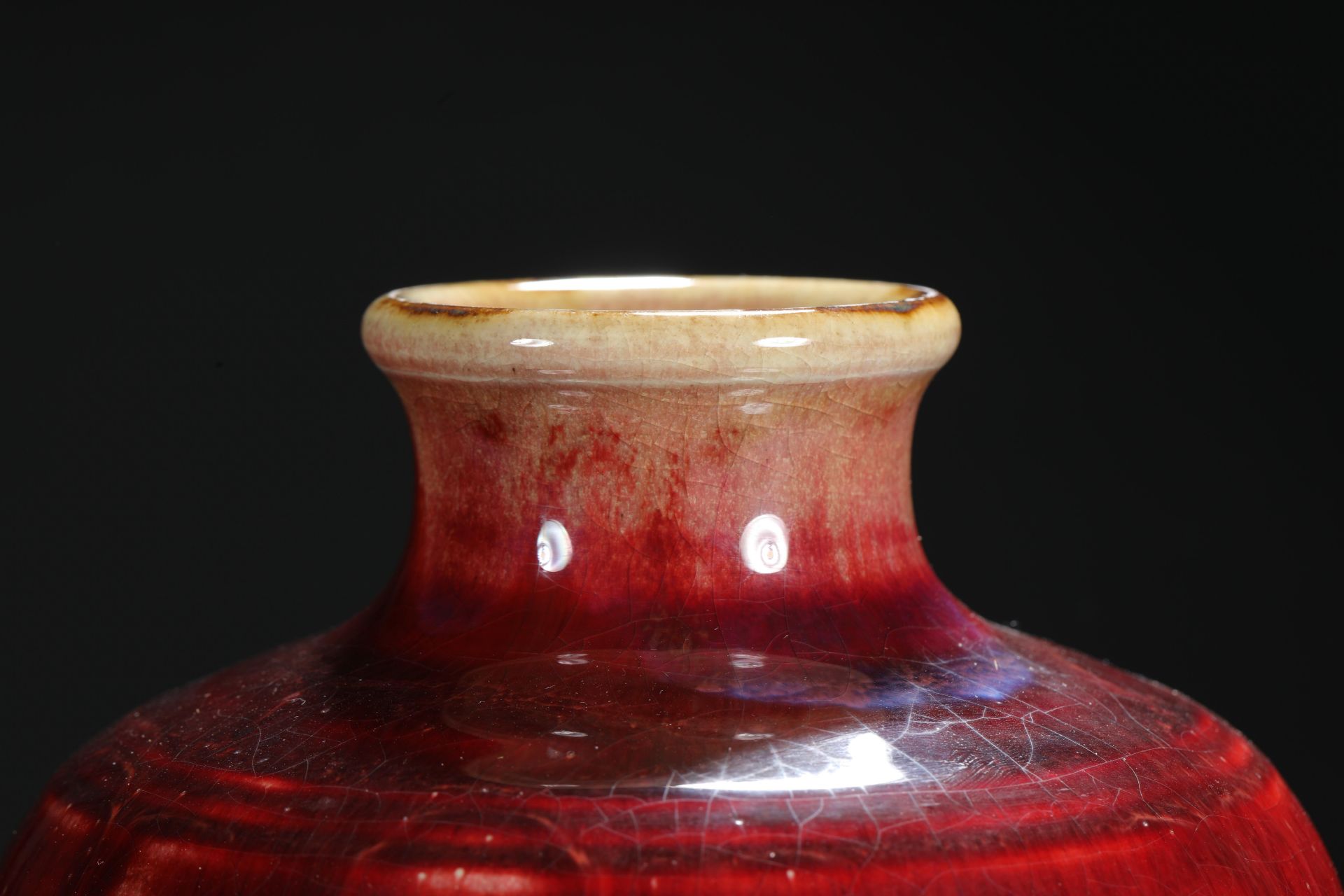 Qianlong inscription red glaze plum bottle - Image 4 of 8