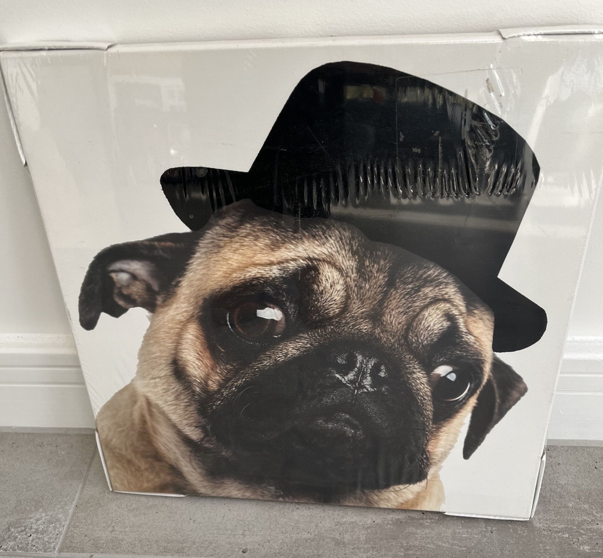 Pug in Black Hat Wall Canvas Art by NEXT - RRP Â£15 - Brand New and Sealed