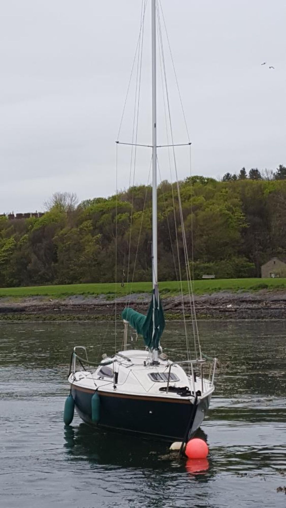 Sonata 7 boat with Yamaha 5hp outboard motor and spare sails. NO VAT - Image 5 of 23
