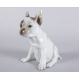 Sitzende Bulldogge Polychrome