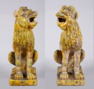 Ein Paar Wächter-Löwen Keramik,