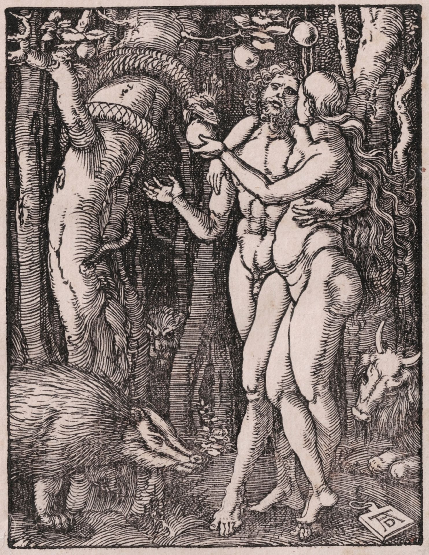 Albrecht Dürer - The Fall of Man - 1510