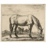 Adriaen Van de Velde, Grazing horse