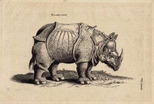 After Albrecht Dürer, Matthäus Merian, the Rhinoceros, Johnson