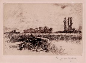 Francis Seymour Haden - Water Meadow