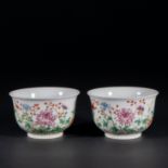 GuangXu Pastel porcelain bowl from Qing dynasty