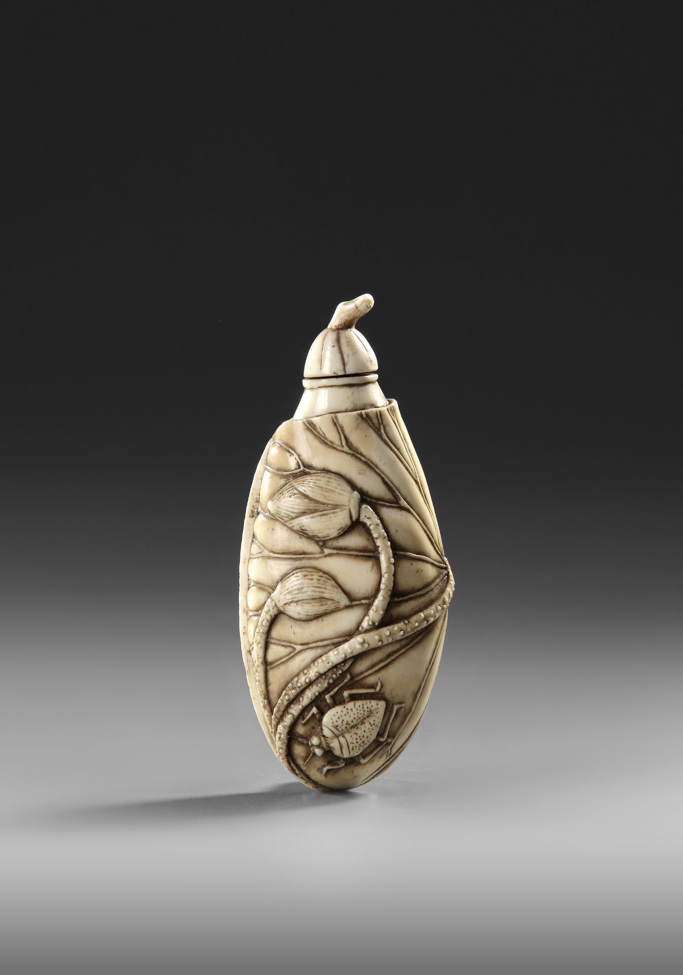 A CHINESE CARVED IVORY SNUFF BOTTLE, 19TH CENTURY