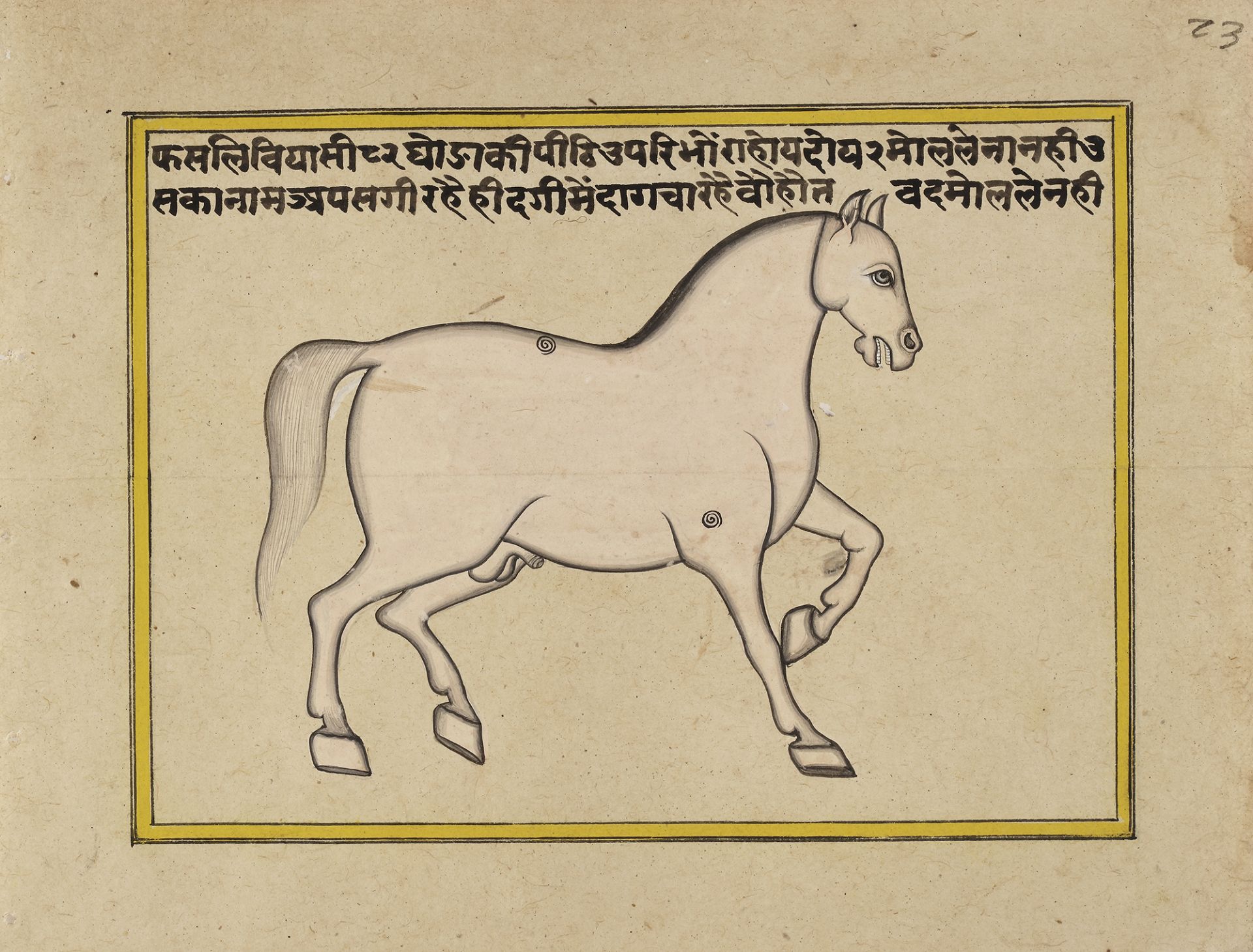 FIFTEEN ILLUSTRATED LEAVES FROM A MANUSCRIPT ON HORSES, INDIA, RAJASTHAN, 19TH CENTURY - Image 14 of 16