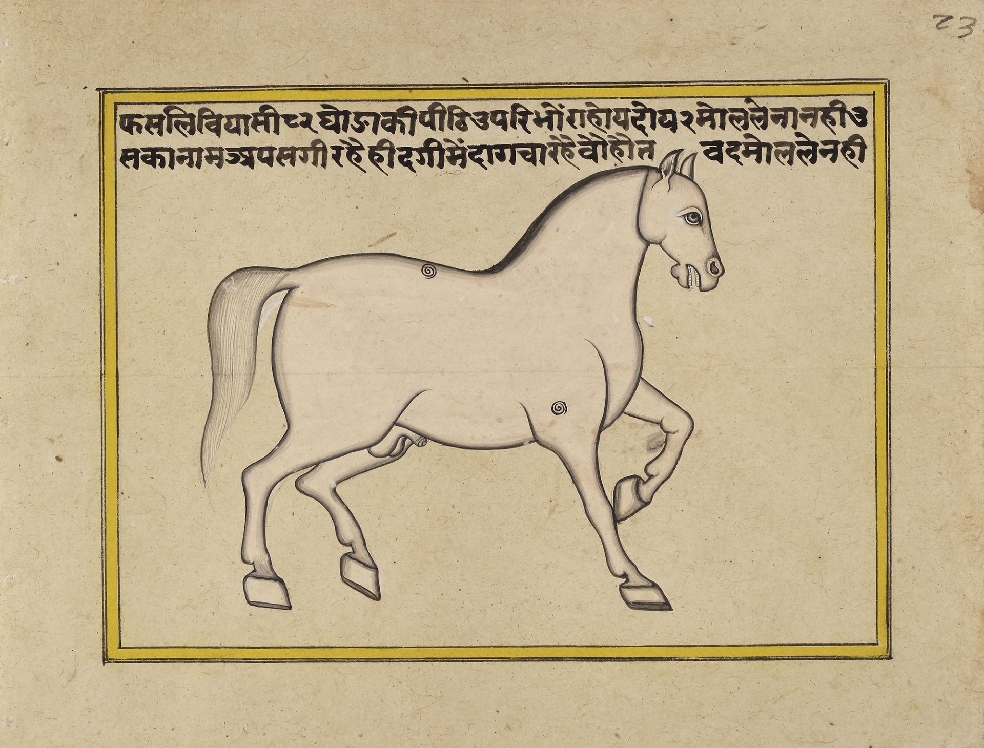 FIFTEEN ILLUSTRATED LEAVES FROM A MANUSCRIPT ON HORSES, INDIA, RAJASTHAN, 19TH CENTURY - Image 2 of 16