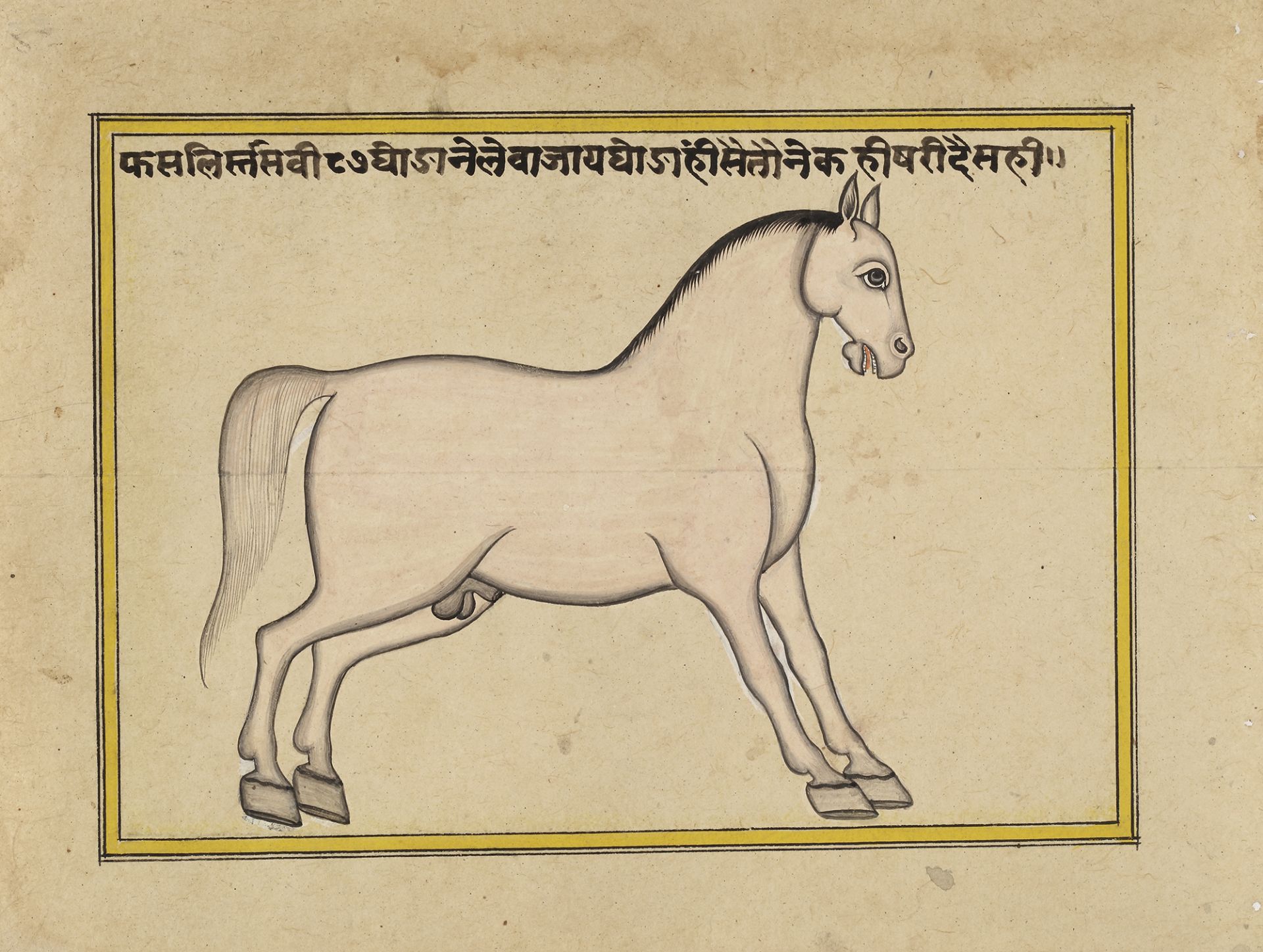FIFTEEN ILLUSTRATED LEAVES FROM A MANUSCRIPT ON HORSES, INDIA, RAJASTHAN, 19TH CENTURY - Image 12 of 16