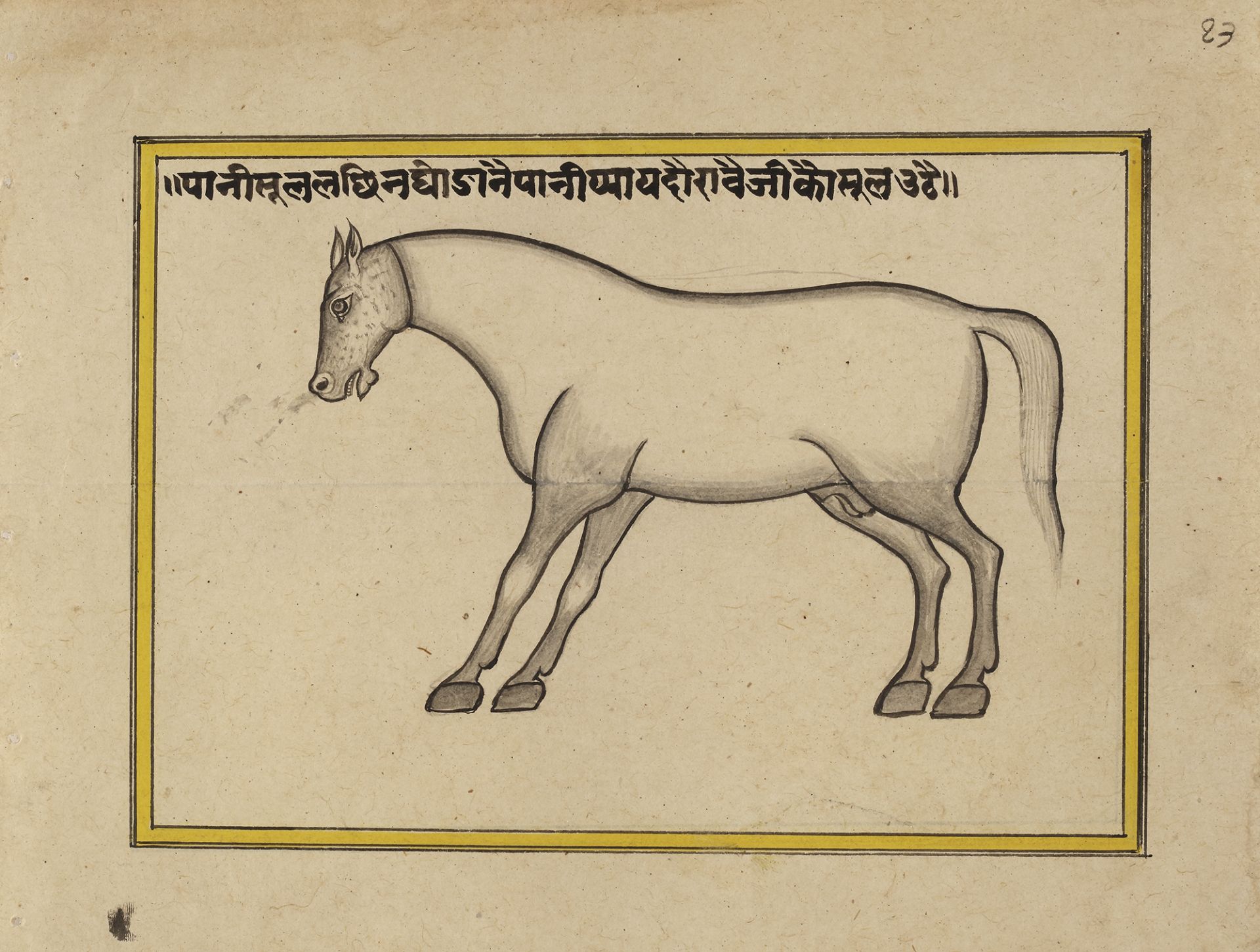 FIFTEEN ILLUSTRATED LEAVES FROM A MANUSCRIPT ON HORSES, INDIA, RAJASTHAN, 19TH CENTURY - Image 16 of 16