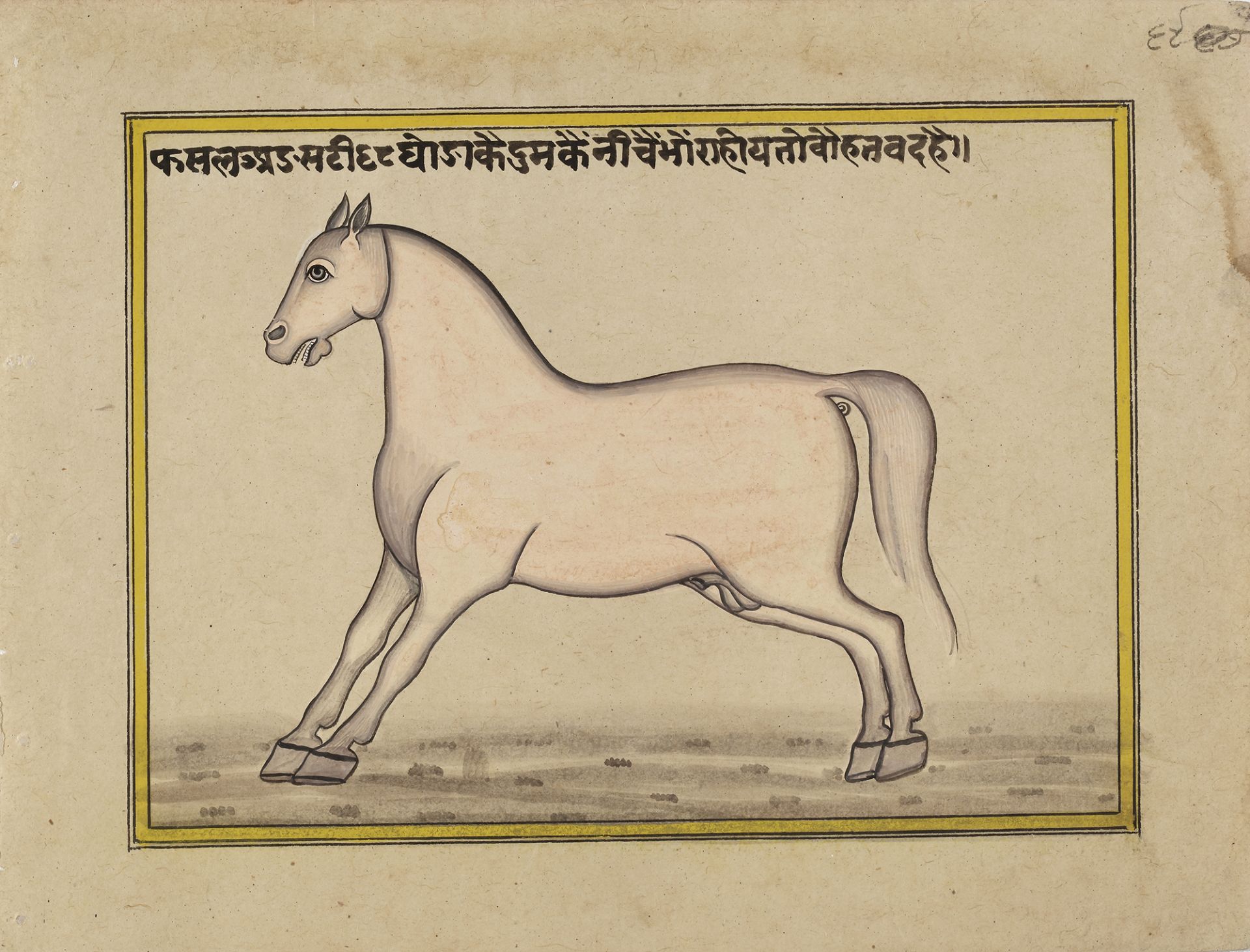 FIFTEEN ILLUSTRATED LEAVES FROM A MANUSCRIPT ON HORSES, INDIA, RAJASTHAN, 19TH CENTURY - Image 4 of 16