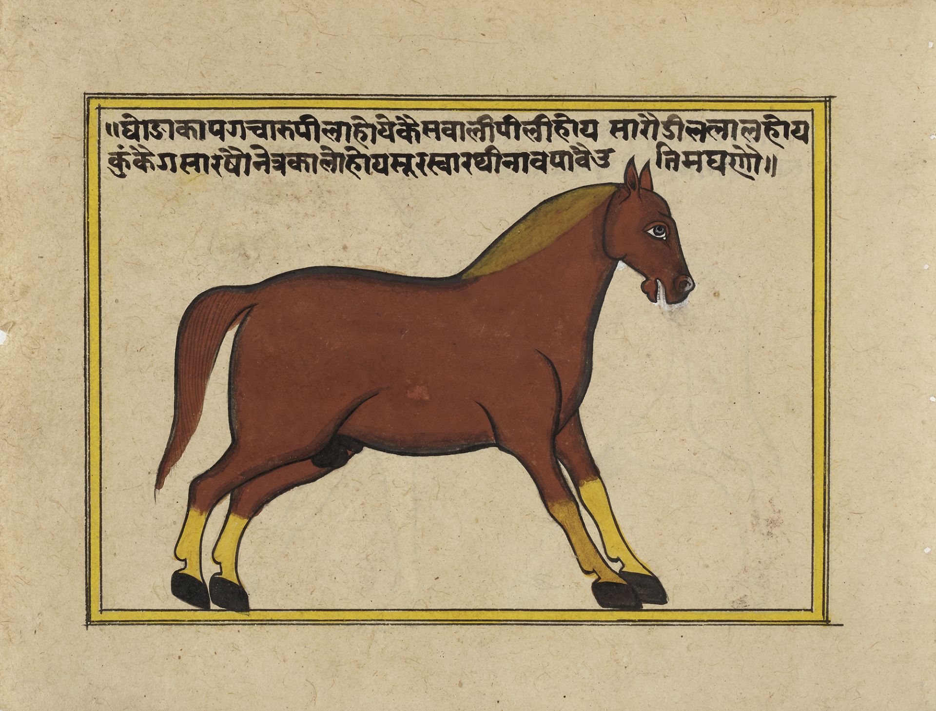 FIFTEEN ILLUSTRATED LEAVES FROM A MANUSCRIPT ON HORSES, INDIA, RAJASTHAN, 19TH CENTURY - Image 3 of 16